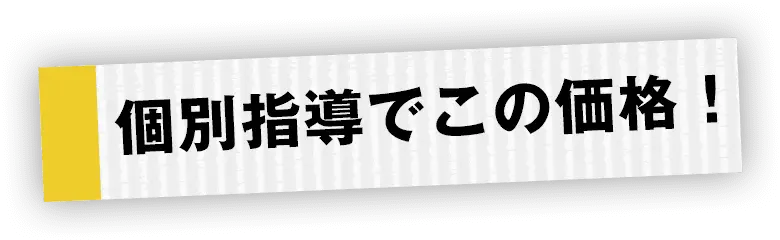 個別指導でこの価格