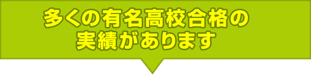 多くの有名校の実績があります