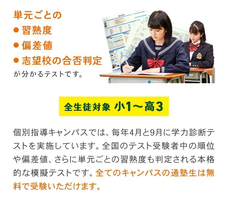 単元ごとの熟成度、偏差値、志望校の合否判定が分かるテストです